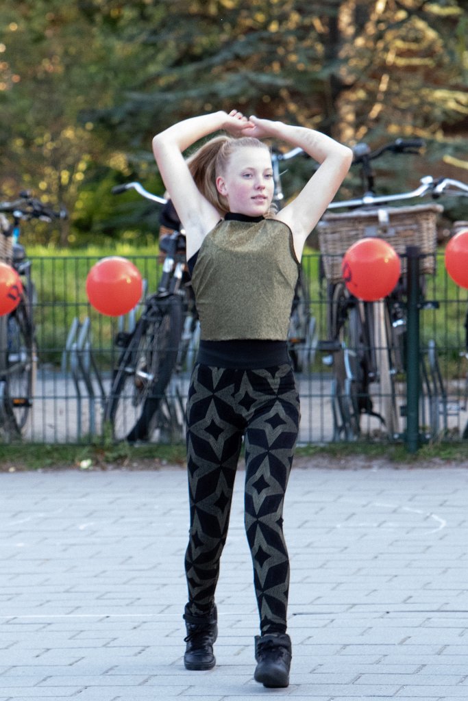 Schoolplein Festival A419.jpg